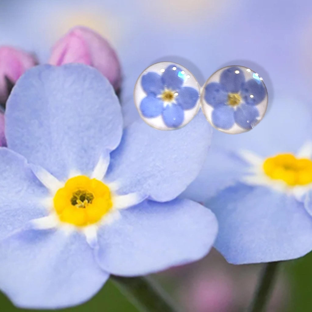 Real Forget-Me-Nots Stud Earrings