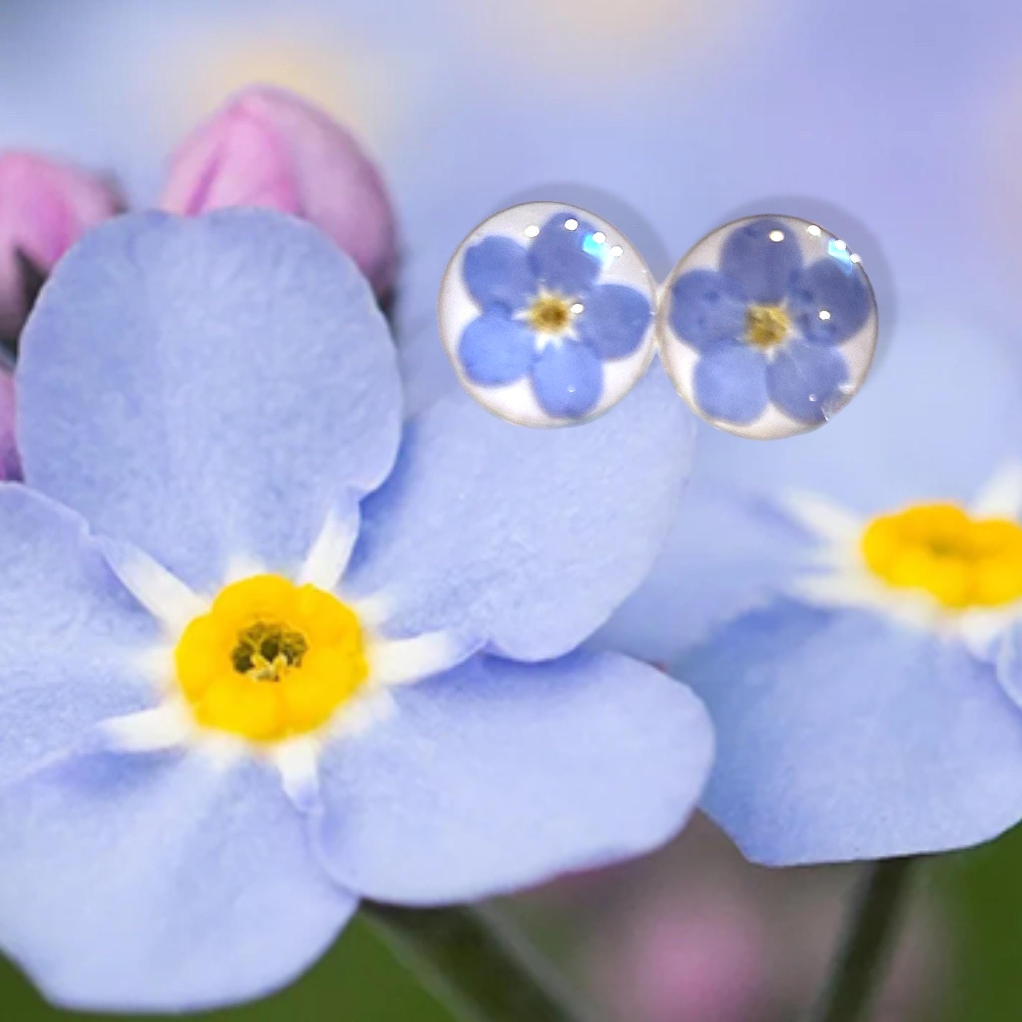 Real Forget-Me-Nots Stud Earrings